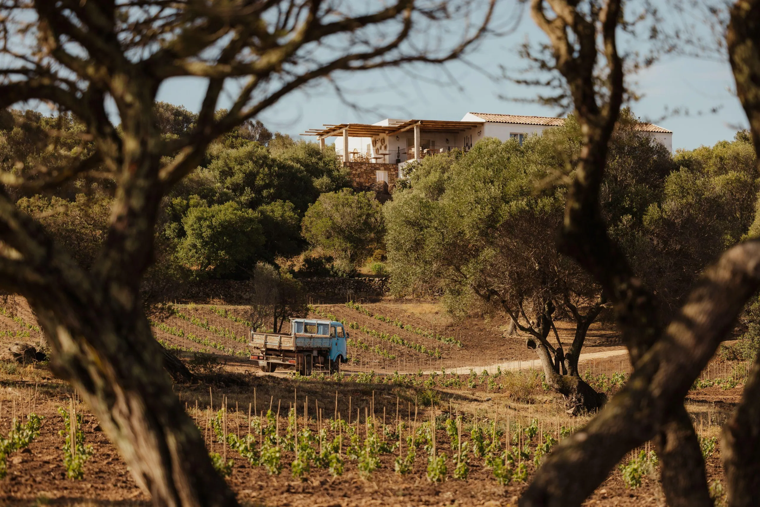 The countryside around Nuali
