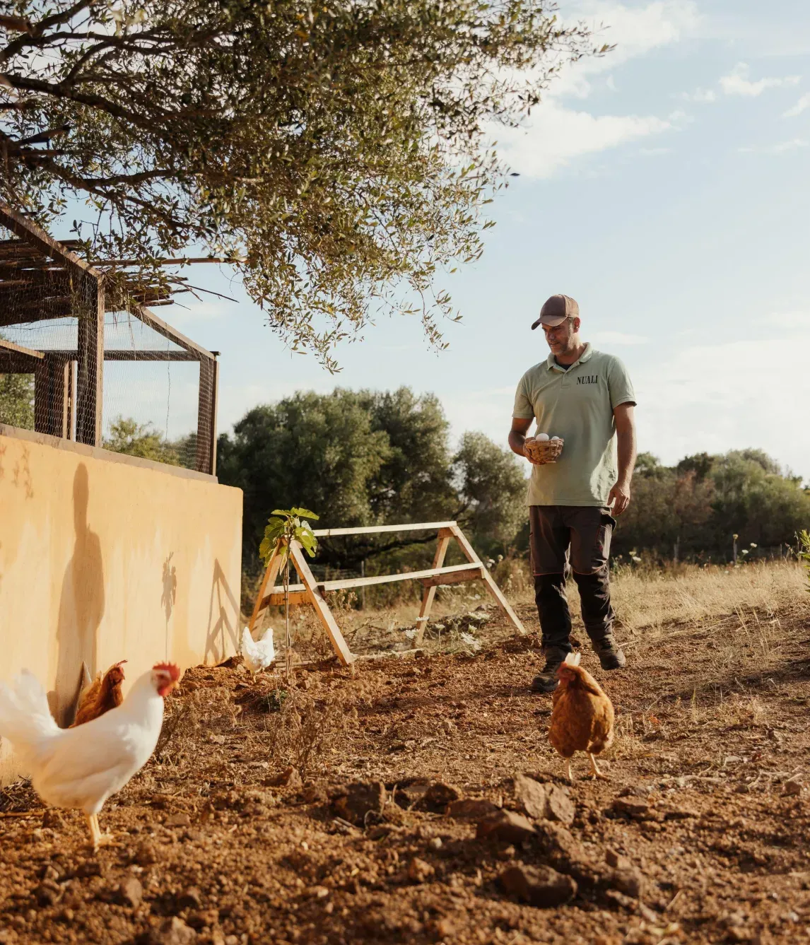 Alex Moling Nuali Agricoltura 32