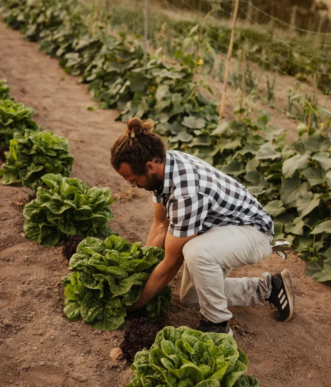 Alex Moling Nuali Agricoltura 48