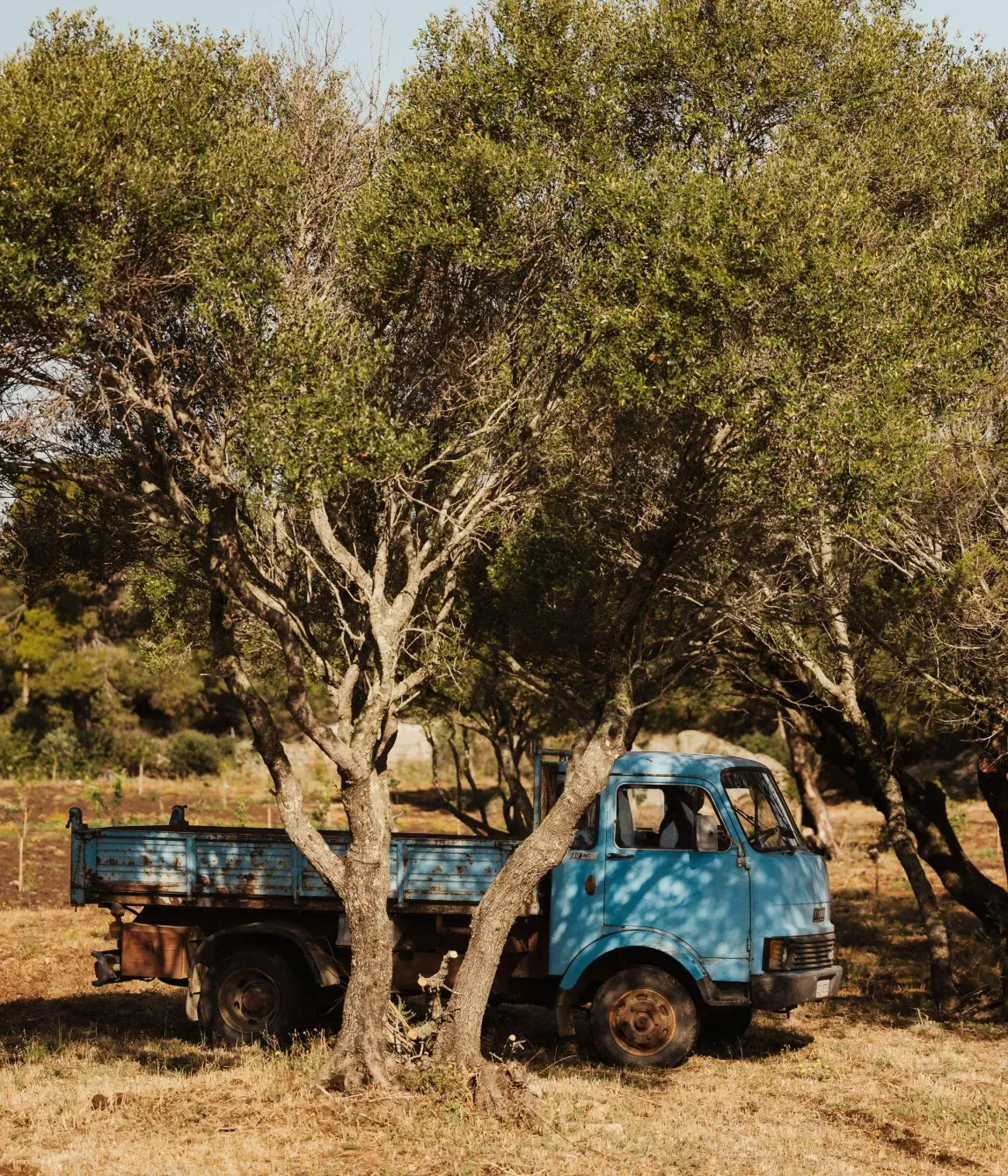 Alex Moling Nuali Agricoltura 14