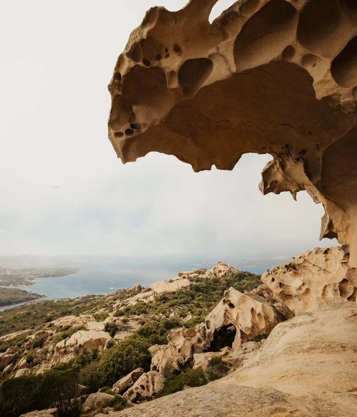 Alex Moling Nuali Esperienze 8