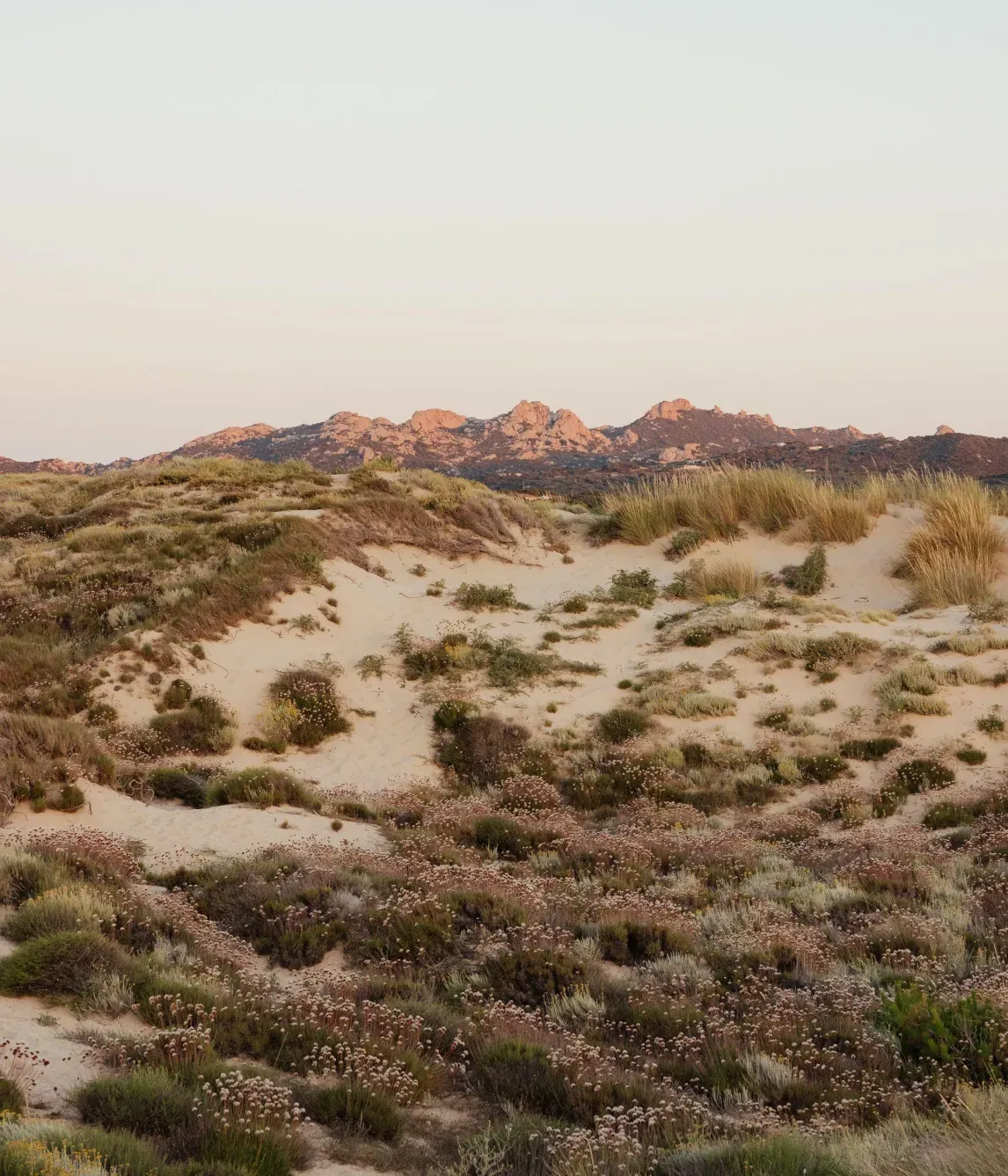 Alex Moling Nuali Esperienze 30